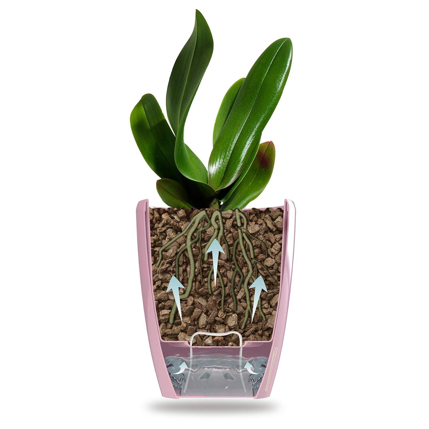 DECOPOTS - Self Watering Orchids Pot - Plant Pots Ideal for Orchid Flower - Drainage and Water Level Indicator - Planter Pot with Self-Watering Feature(5.5 ".9", Blue)