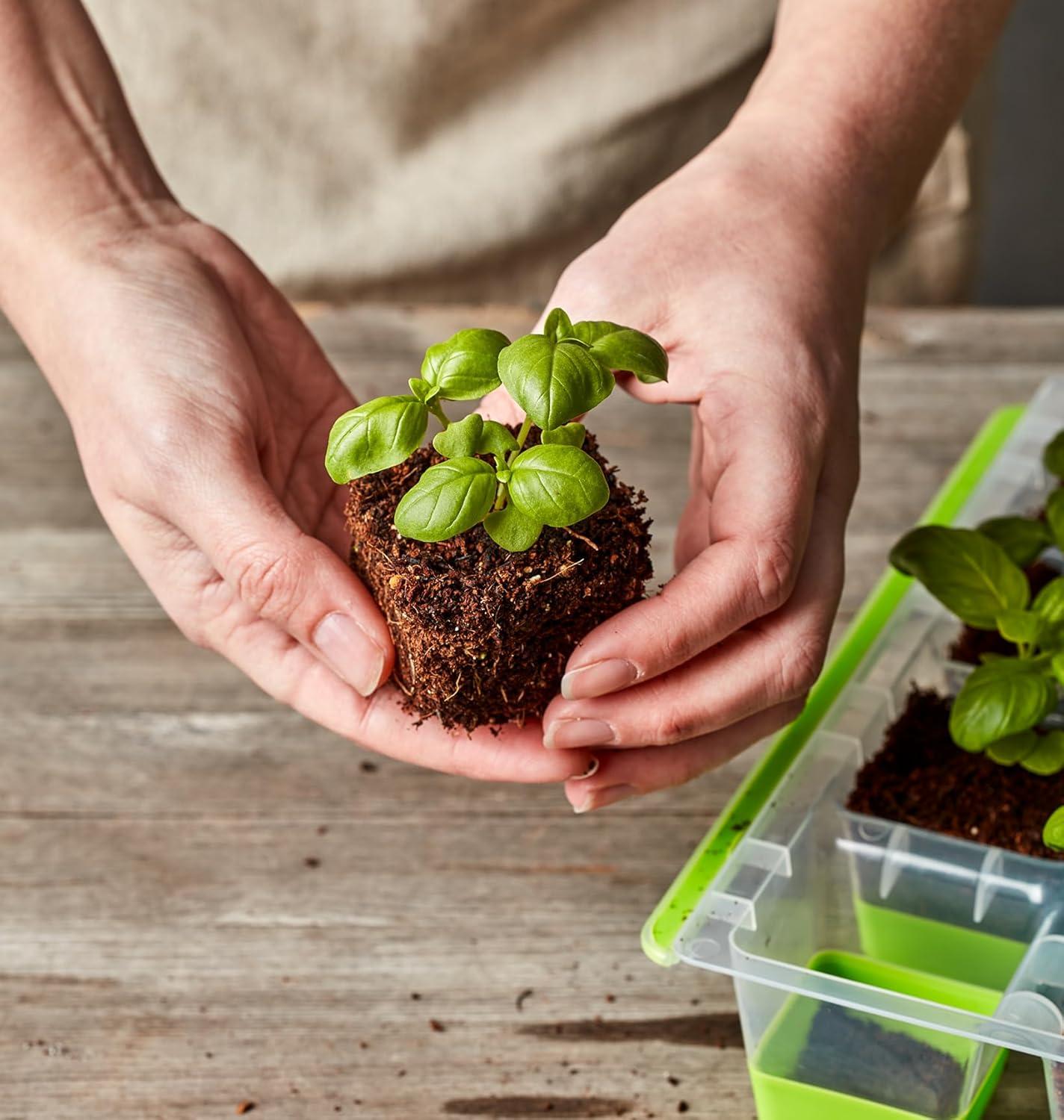 Burpee SuperSeed 16 XL Cell Seed Starting Tray - Reusable and Dishwasher Safe - Growing Tray for Seedlings and Plant Germination