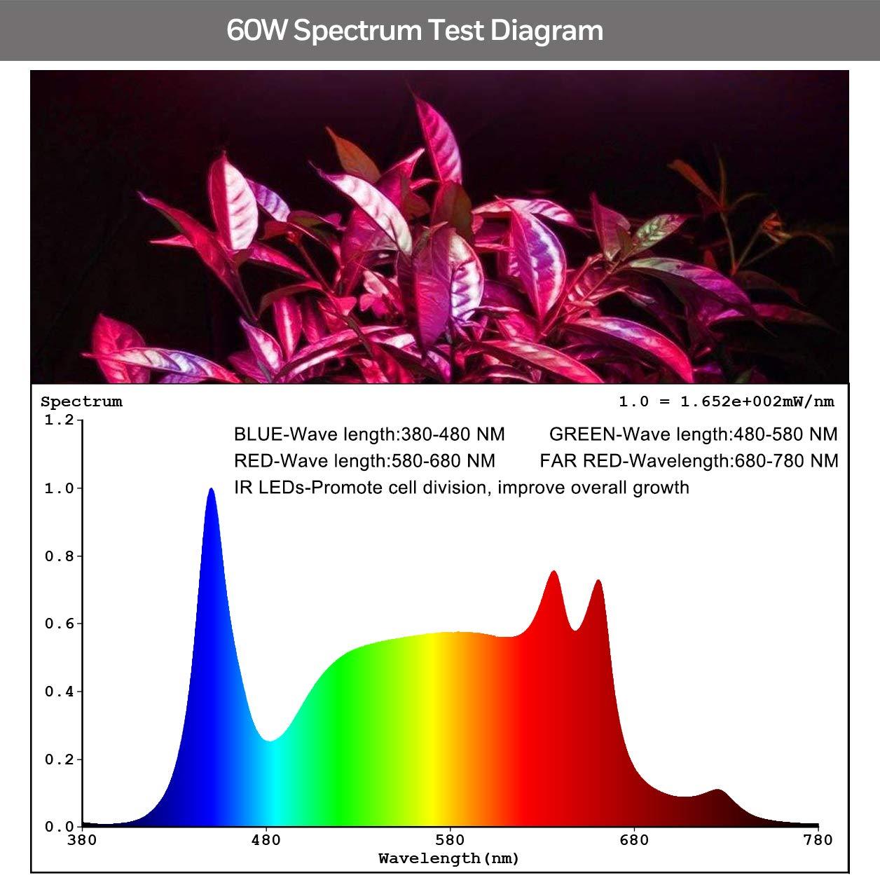 Honeywell Grow Light