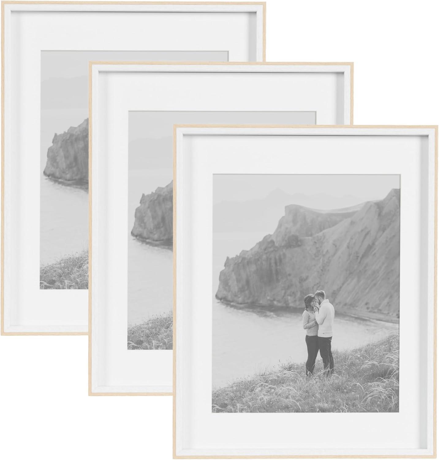 Kate & Laurel All Things Decor (Set of 3) 14"x18" Matted to 11"x14" Gibson Photo Frames White/Natural