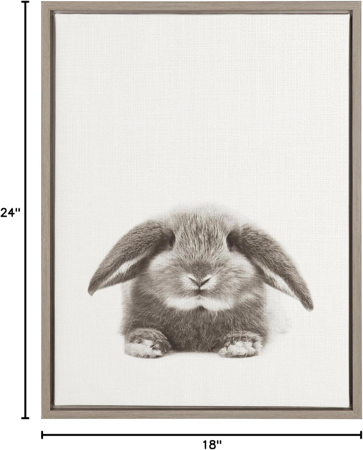 24" x 18" Rabbit Framed Canvas Art - Uniek