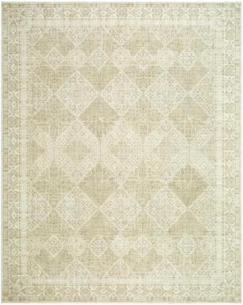 Galey Alix x Livabliss Fetscher IV Machine Woven Area Rug