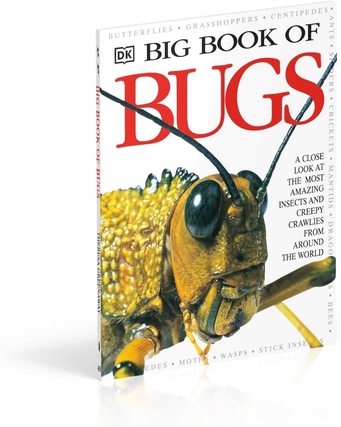 Big Book of Bugs - (DK Big Books) by  DK (Hardcover)