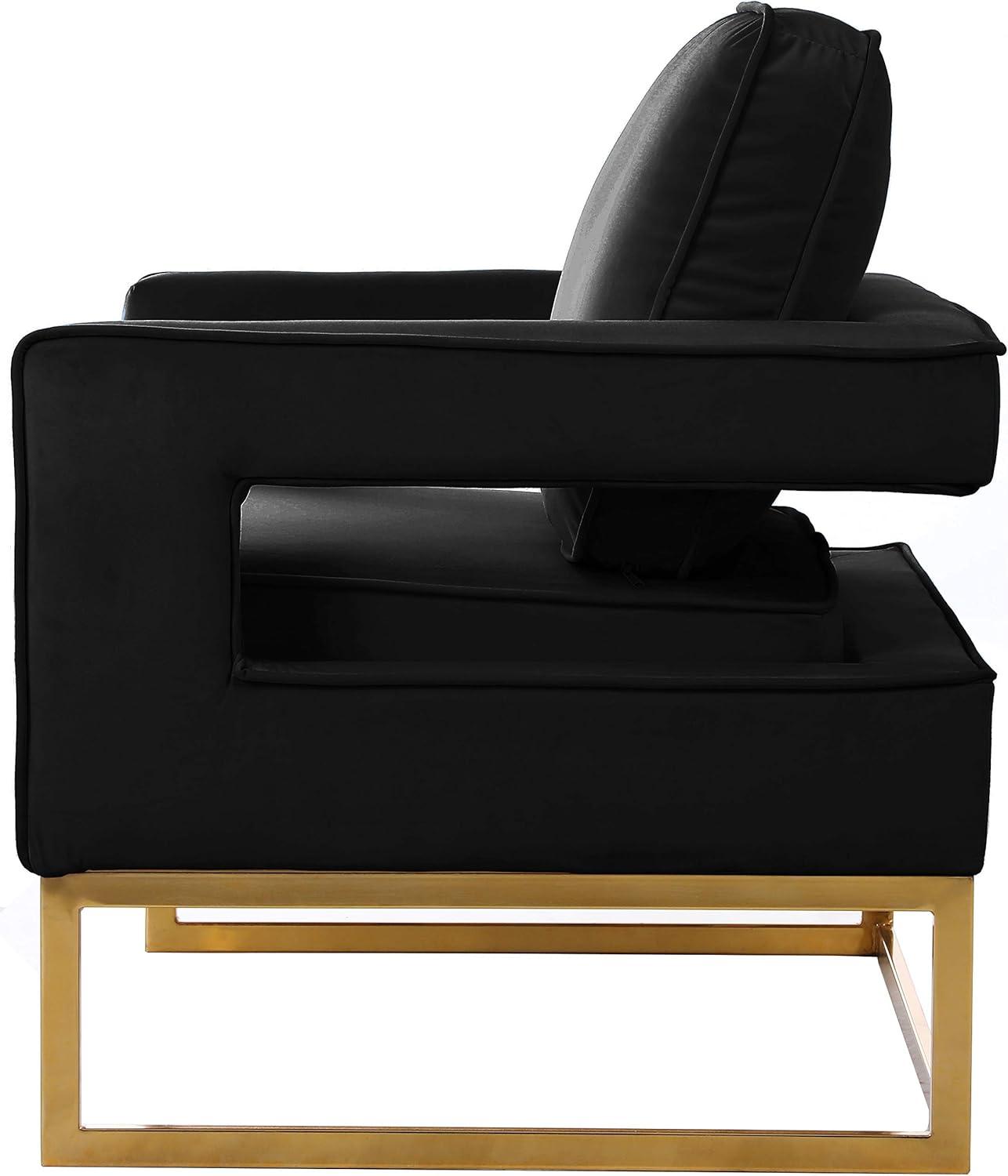 Meridian Furniture Noah 19"H Velvet Accent Chair in Black and Gold