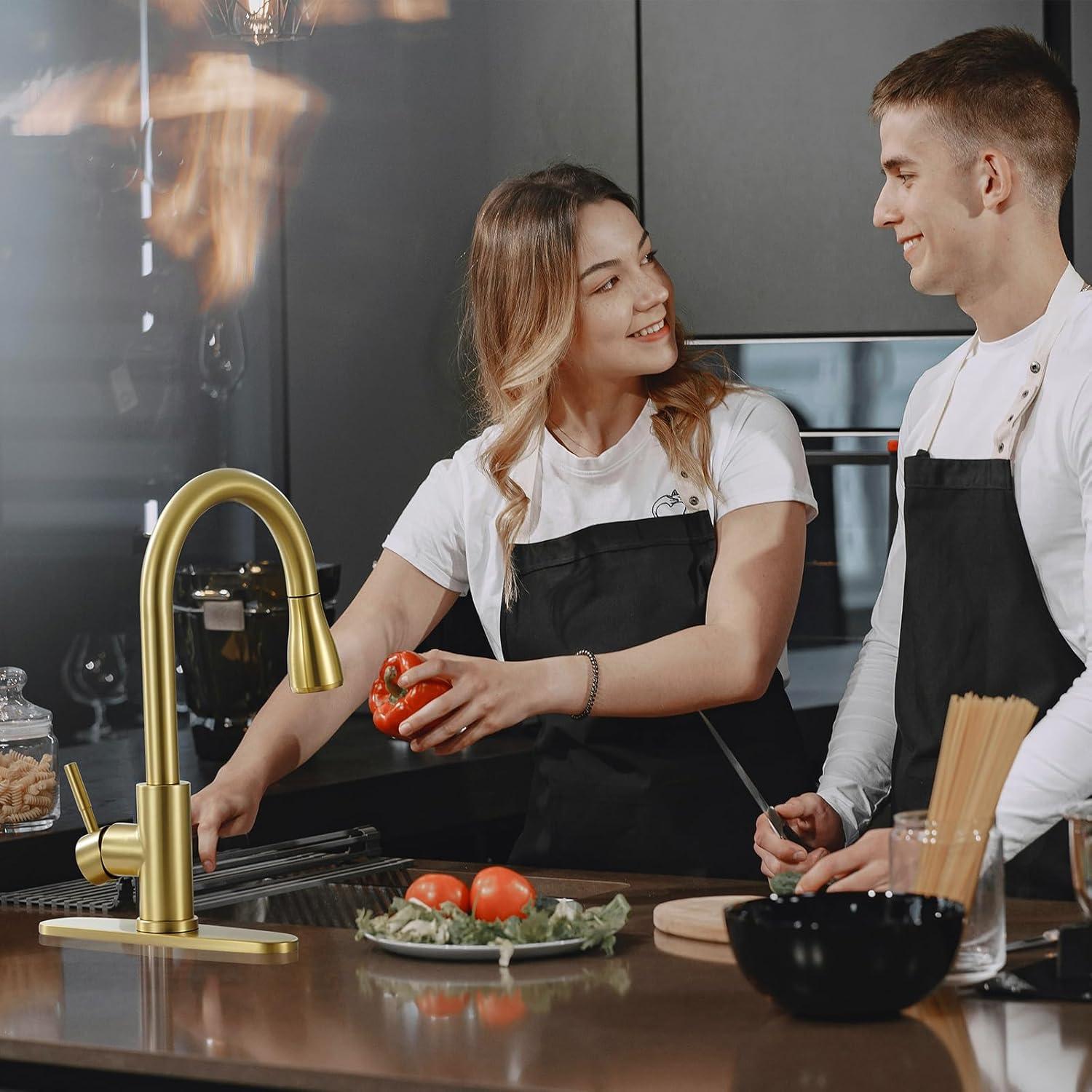 GAGALIFE Single Handle Pull Down Sprayer Kitchen Faucet High Arc Stainless Steel Faucet with 3-Function Sprayer JJL-CL-PT-SDP-G