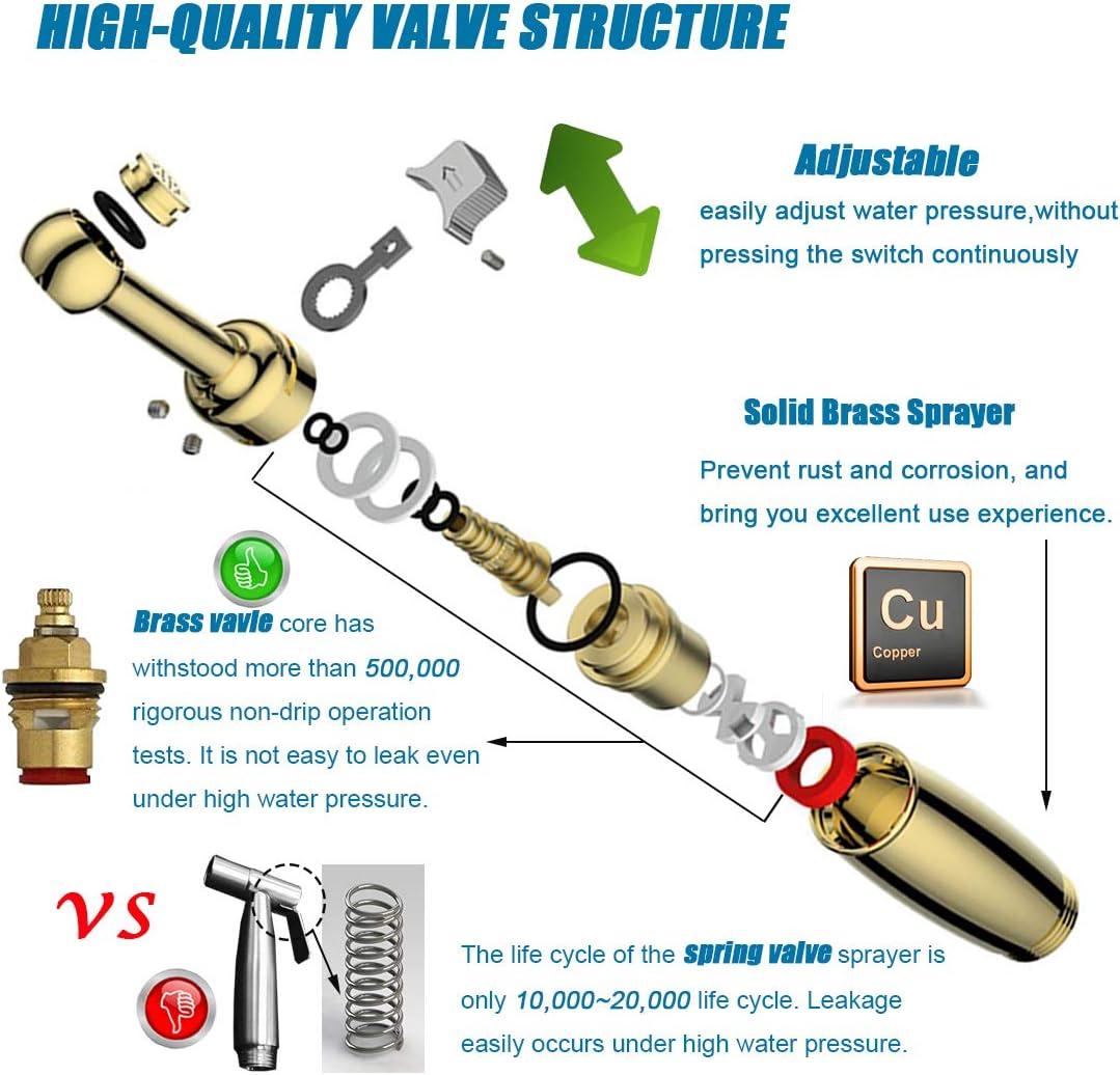 Polished Chrome Brass Handheld Bidet Sprayer Kit