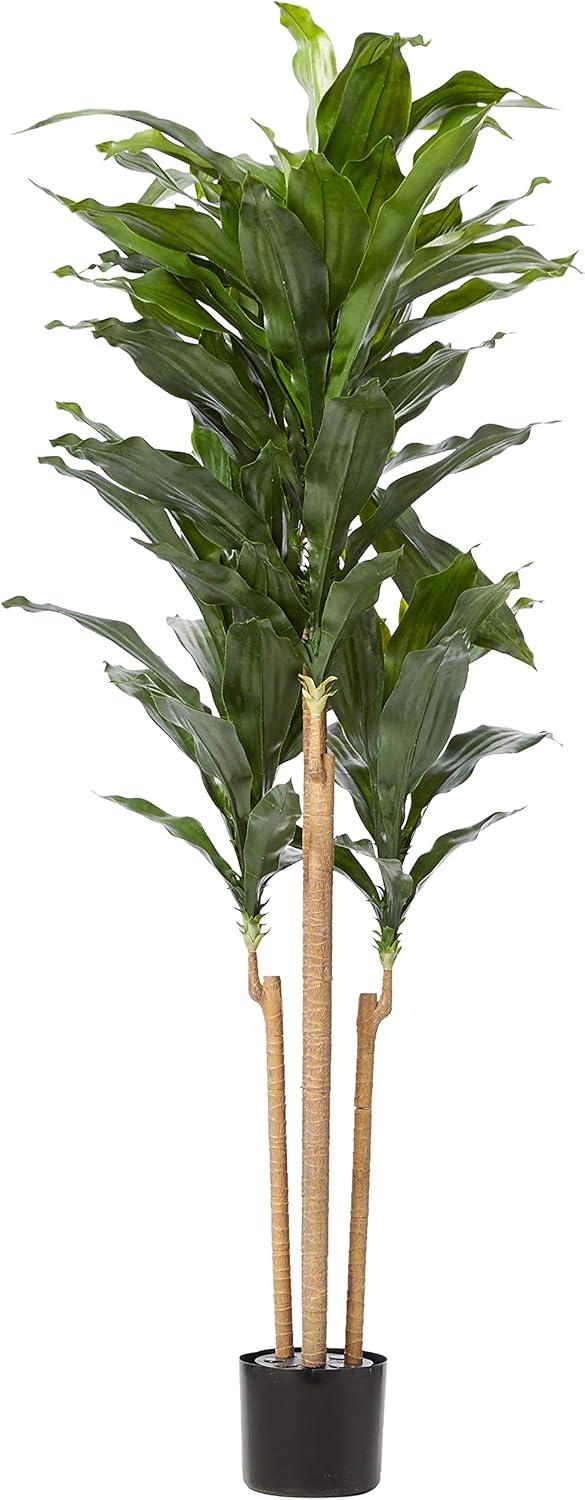 Nearly Natural 5-ft Dracaena Plant UV Resistant (Indoor/Outdoor)