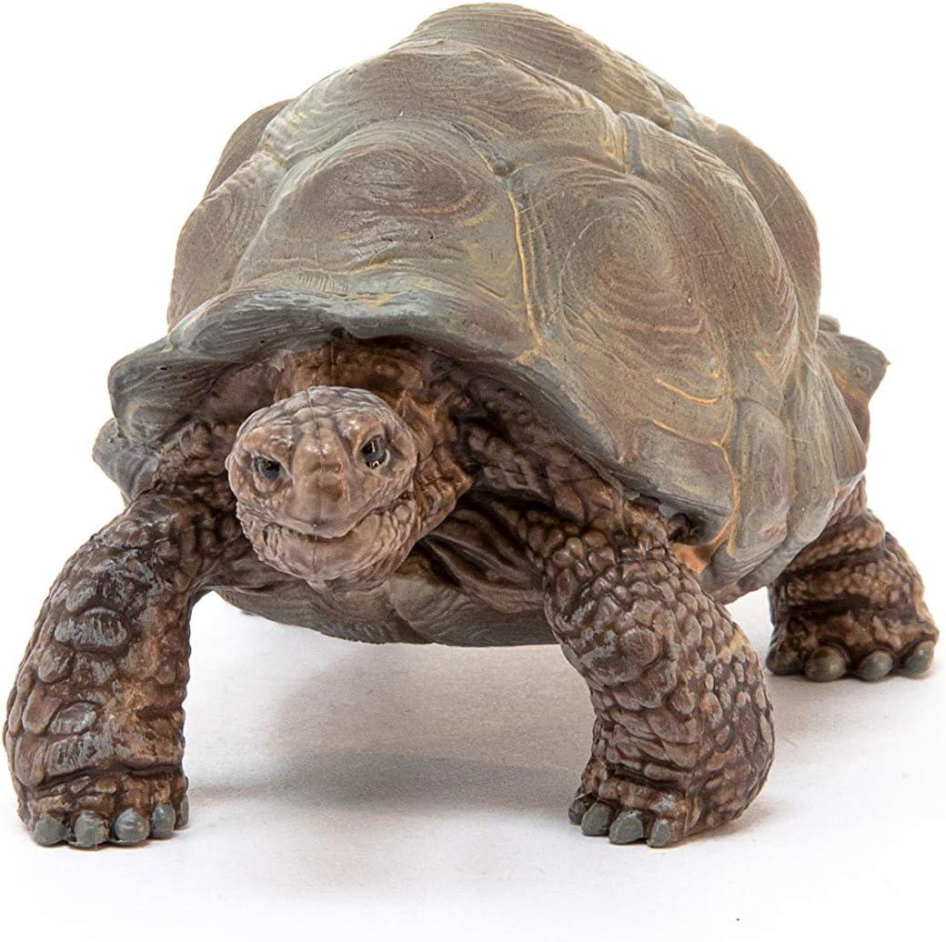 Schleich 9060819 Plastic Wild Life Giant Tortoise Toy, Beige & Brown - Pack of 5