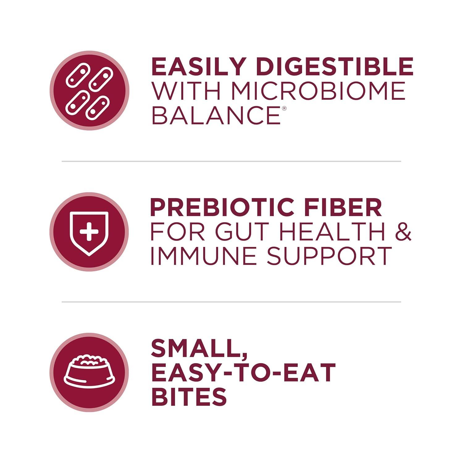 Purina ONE Mainline Small Bites Beef & Rice Flavor Dry Dog Food - 31.1lbs