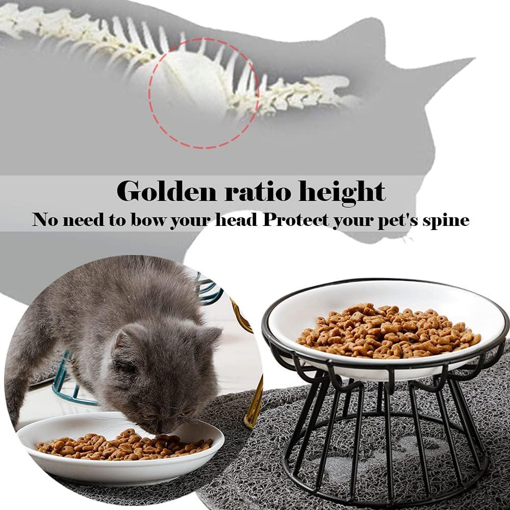 Cat Bowls, Elevated Cat Bowl, Raised Ceramic Dish with Metal Stand, Pet Water or Food Feeding Station for Indoor Cats, Kitten, Puppies and Small Dogs, Dishwasher Safe