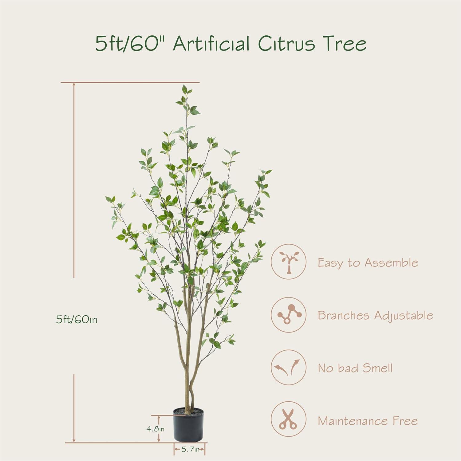 Faux Minimalist Citrus Tree 5'
