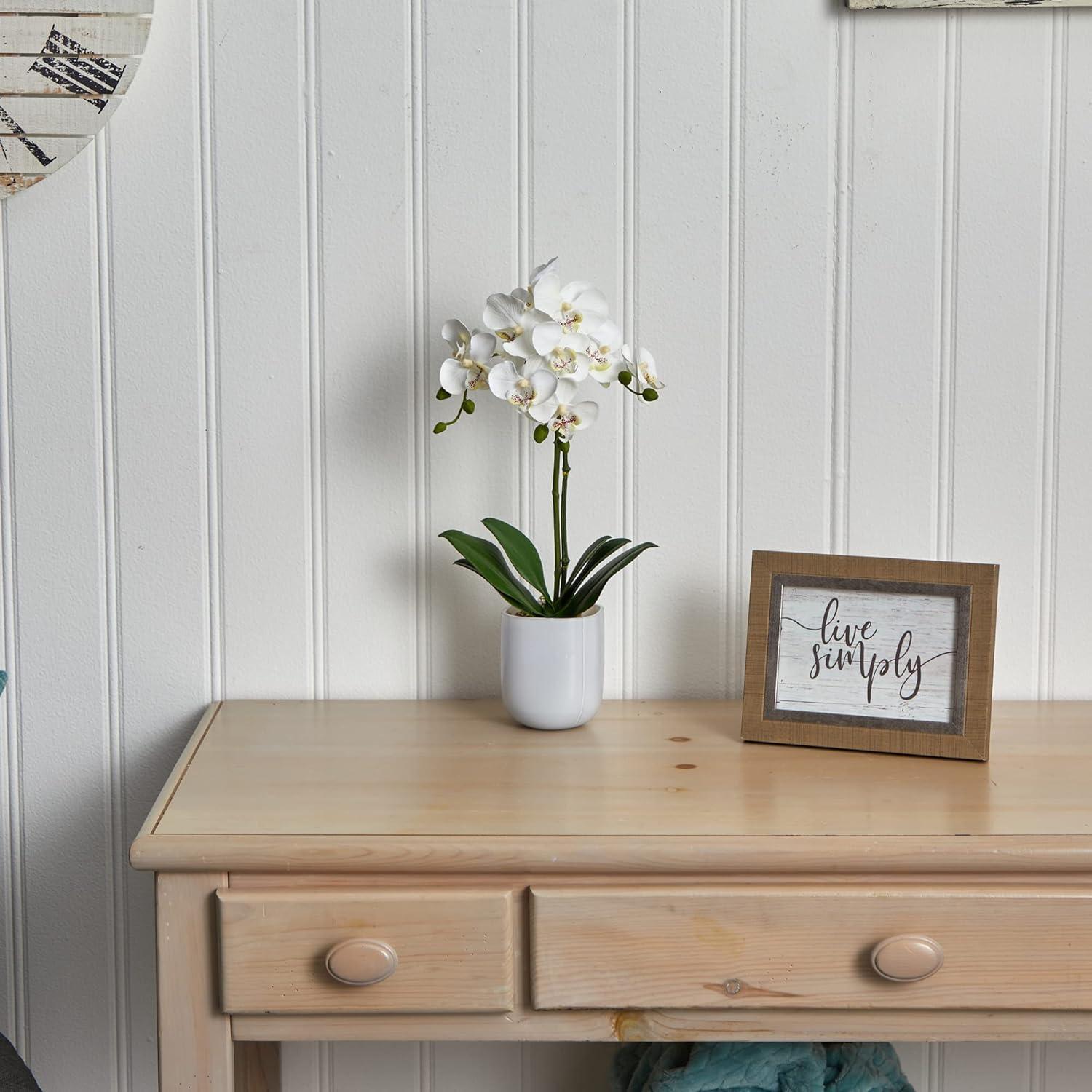 Silk Plant Nearly Natural Phalaenopsis in Frosted Glass