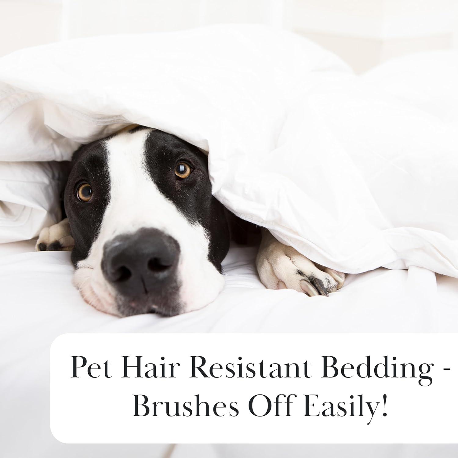 Southshore Fine Living, Inc. 6-Piece, 21-Inch Queen Sheets Deep Pocket, Pet Hair Resistant Queen Bed Sheet Set with Extra Deep Pocket Fitted Sheet, Bone Colored Sheets and Pillow Cases Set of 4, Bone