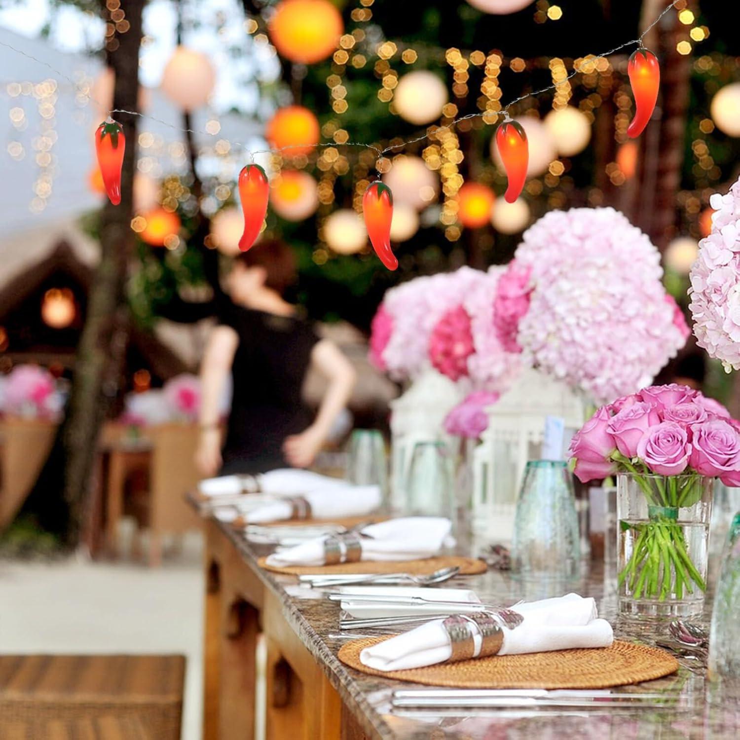 HOMEMAXS Chili Lights String Battery-operated 5.4ft 10 LEDs Warm White Pepper Lights Decorations for Patio Fence Deck Balcony Camping