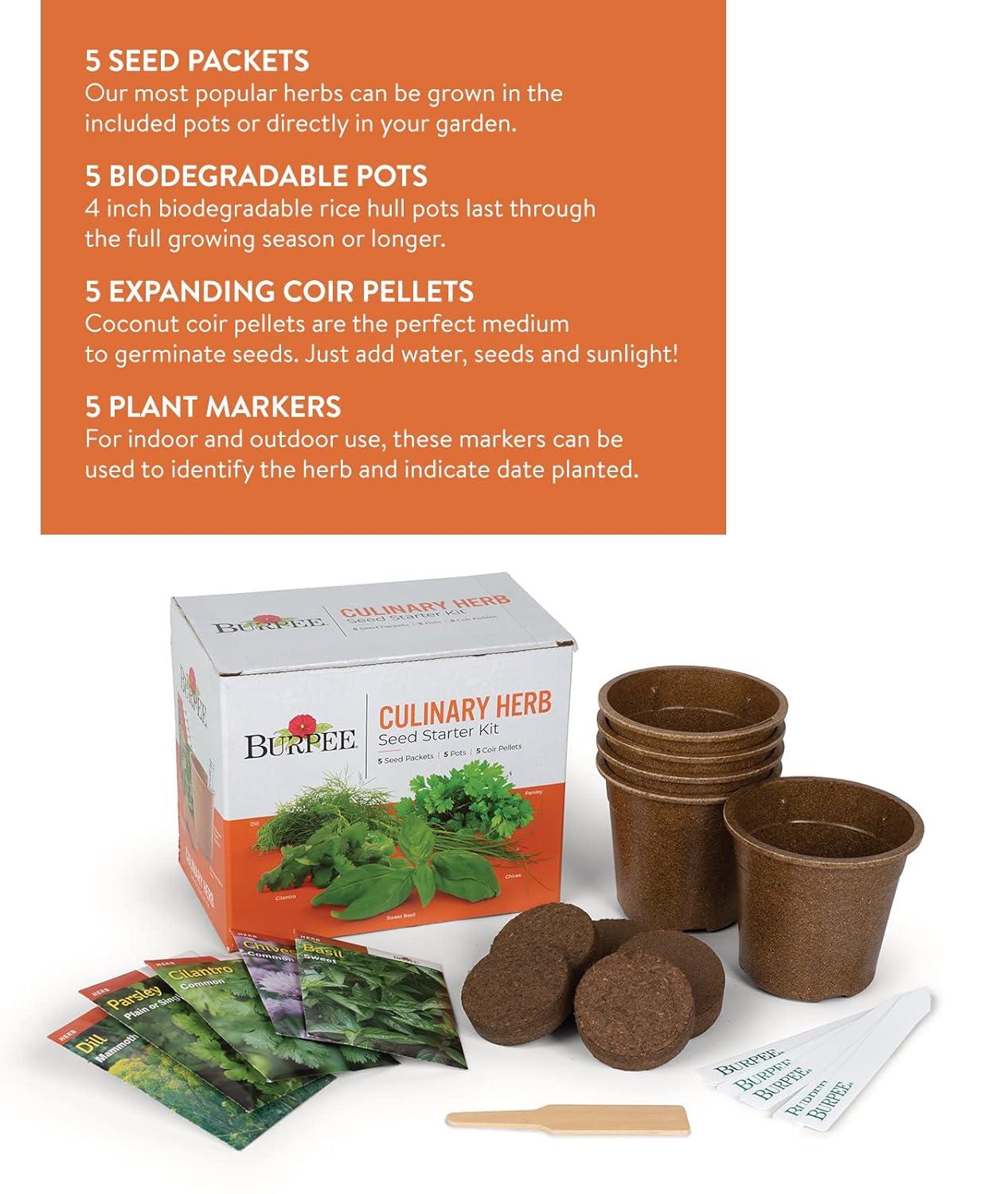 Burpee Culinary Herb Seed Starter Kit