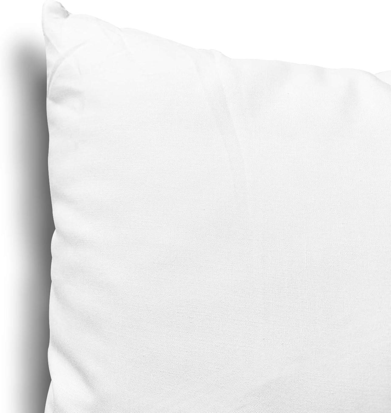 Ewgqwb Throw Pillows & Pillow Cases Back Cushion 2-Piece Non-woven Pillow Core Substitute Polyester Square Pillow Core