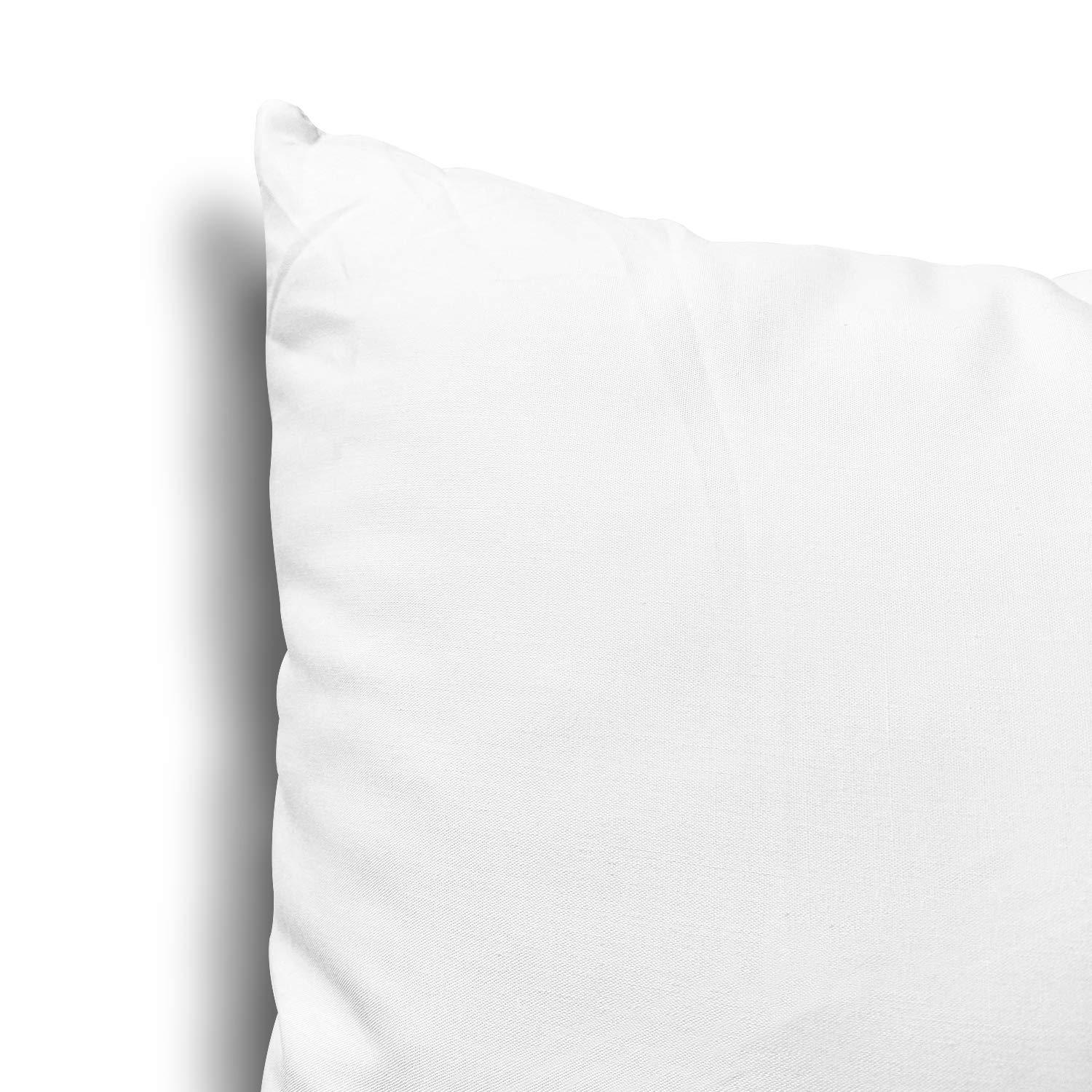 Linjieee Large Throw Pillows for Couch 24x24 2-Piece Non-woven Pillow Core Substitute Polyester Square Pillow Core