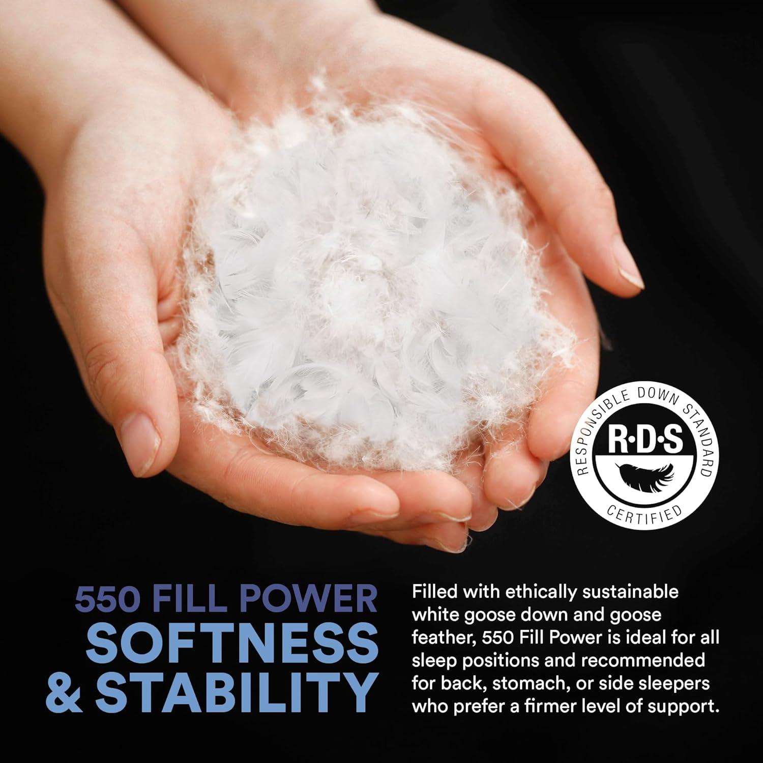 Continental Bedding 50% White Goose Down and 50% White Goose Feather Blend - King Size Pillow - Set of 2