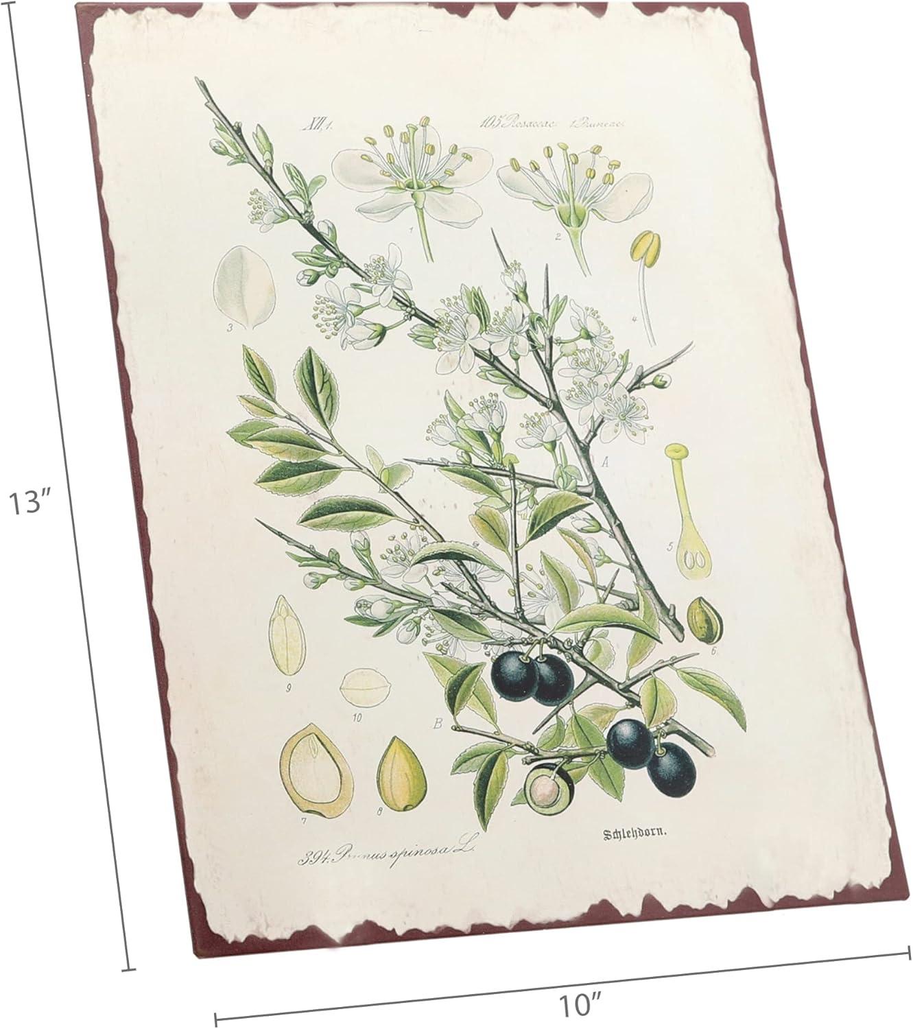 Barnyard Designs Botanical Blackthorn Tree Print Wall Art Metal Tin Sign Primitive Country Farmhouse Home Decor, 10" x 13"