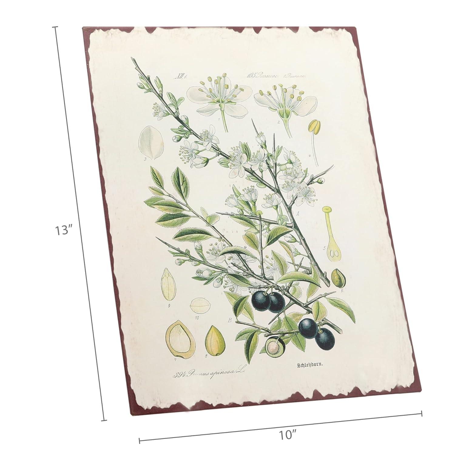 Barnyard Designs Botanical Blackthorn Tree Print Wall Art Metal Tin Sign Primitive Country Farmhouse Home Decor, 10" x 13"