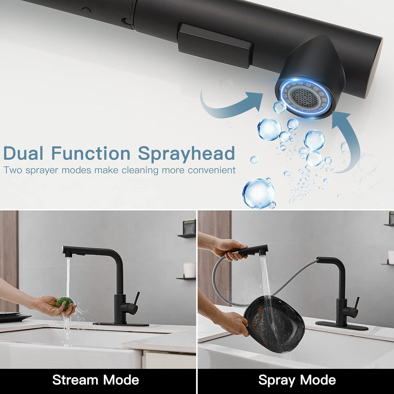 Matte Black Stainless Steel Pull-Out Spray Kitchen Faucet