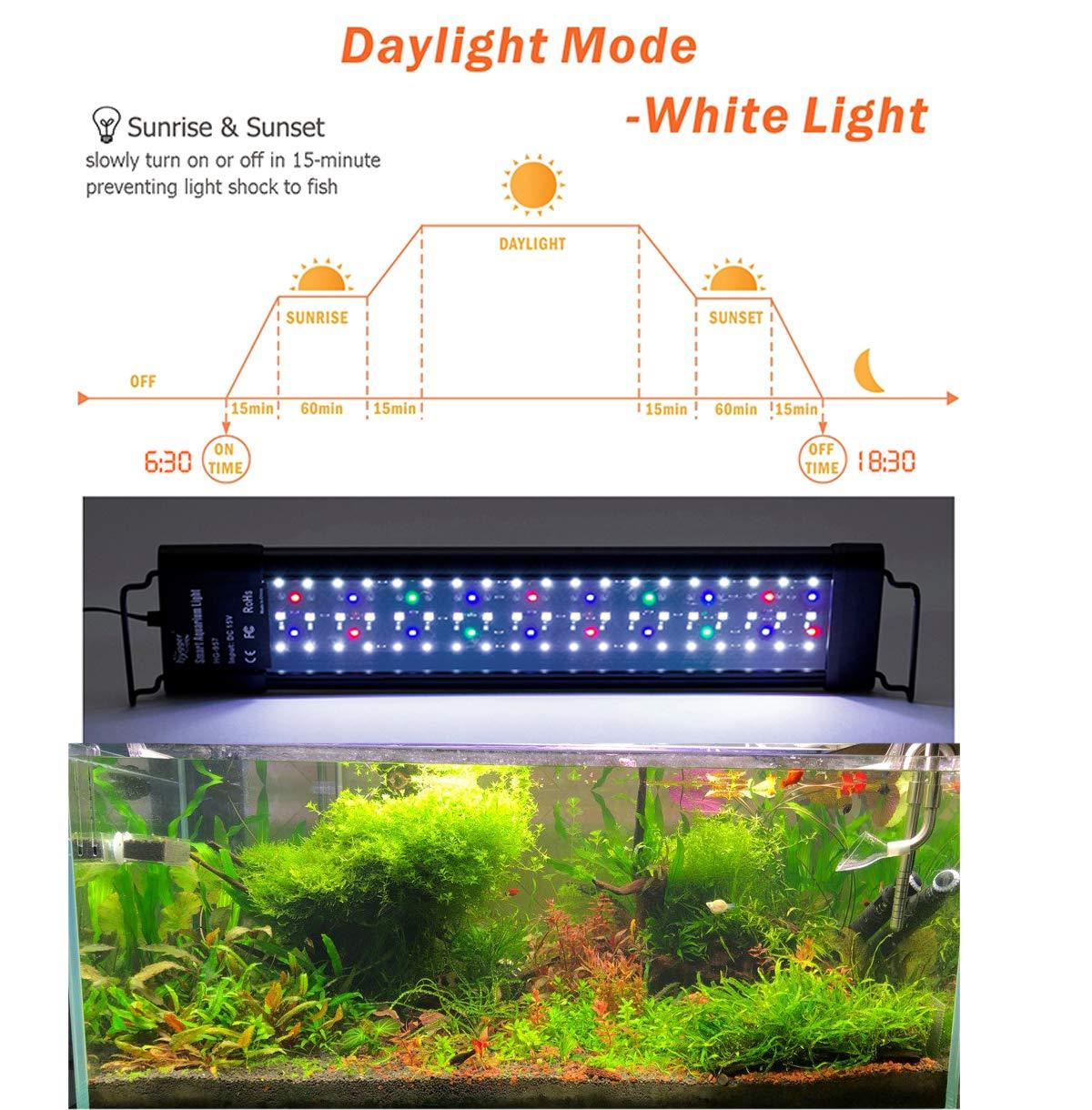 hygger Auto On Off LED Aquarium Light 18-24 Inches Dimmable 7 Colors Full Spectrum Fish Tank Light Fixture for Freshwater Planted Tank Build in Timer Sunrise Sunset