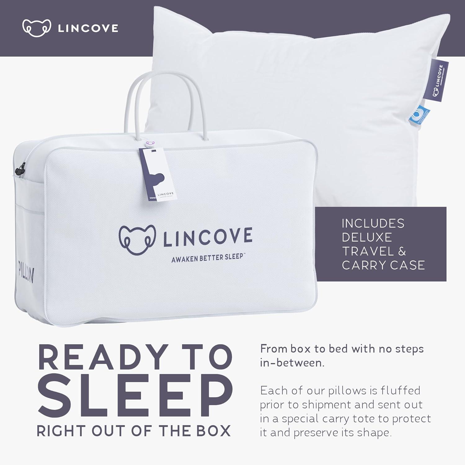 Lincove Cloud Canadian Down Luxury Sleeping  Pillow - 625 Fill Power, 500 Thread Count Cotton Sateen Shell, King - Medium, 1 Pack