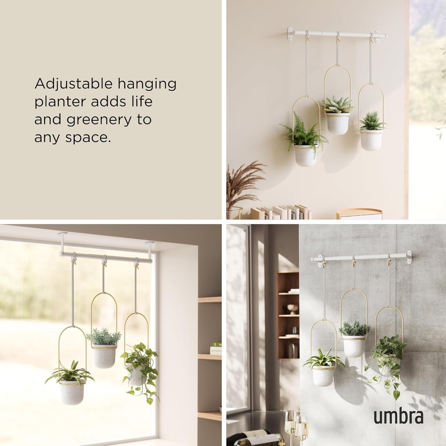 Umbra Triflora 3 Hanging Wall Planter