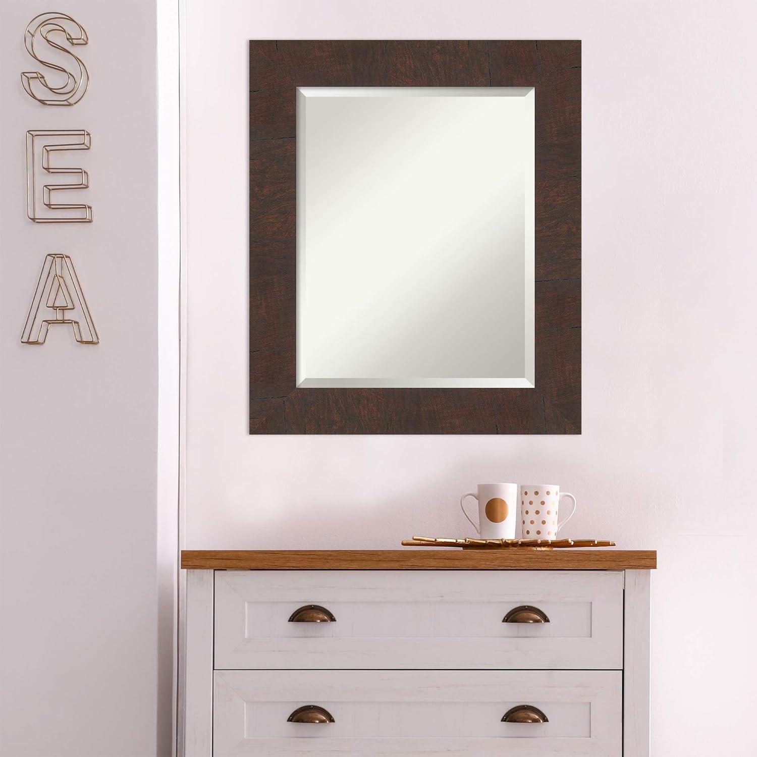 Plastic Framed Wall Mounted Accent Mirror in Walnut Finish