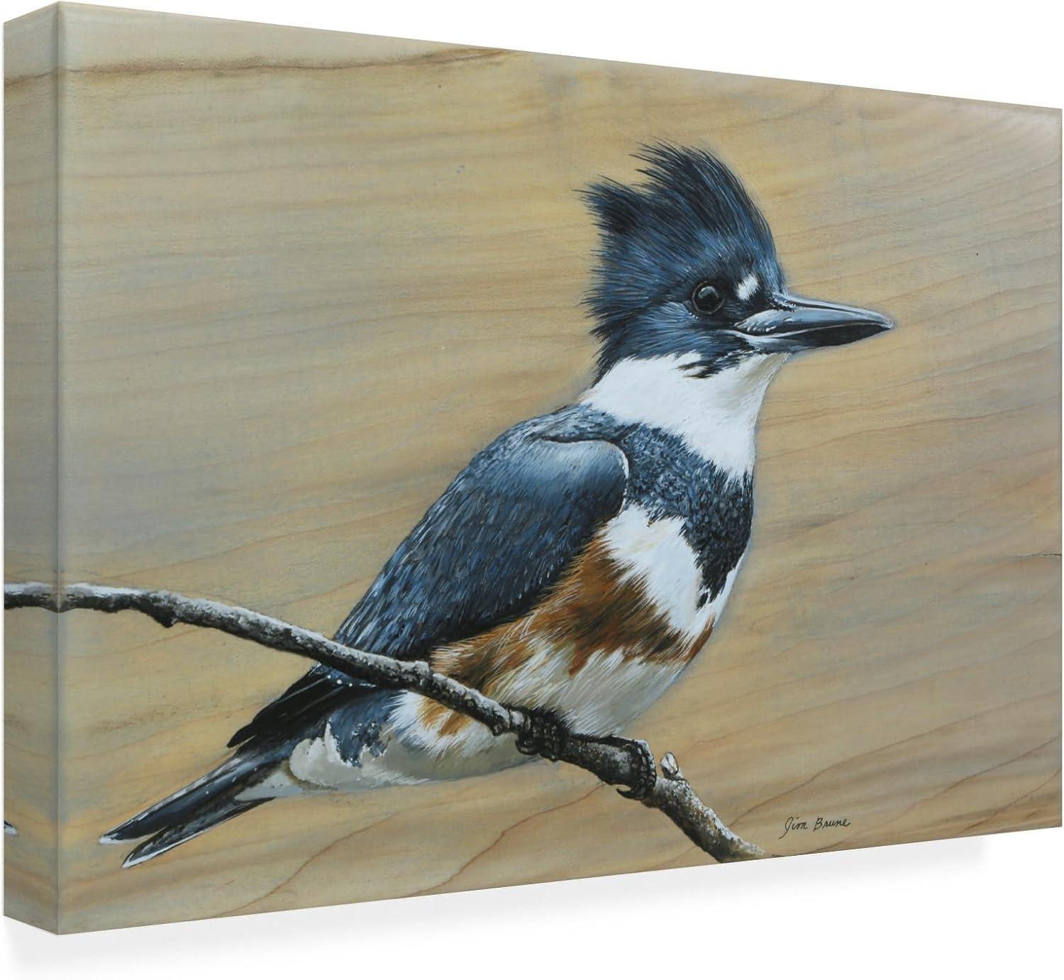 Canvas Wall Art - Jim Brune 'Belted Kingfisher' Wall Art for Living Room, Bedroom, or Office Décor by Trademark Fine Art - 19 x 12 Inches