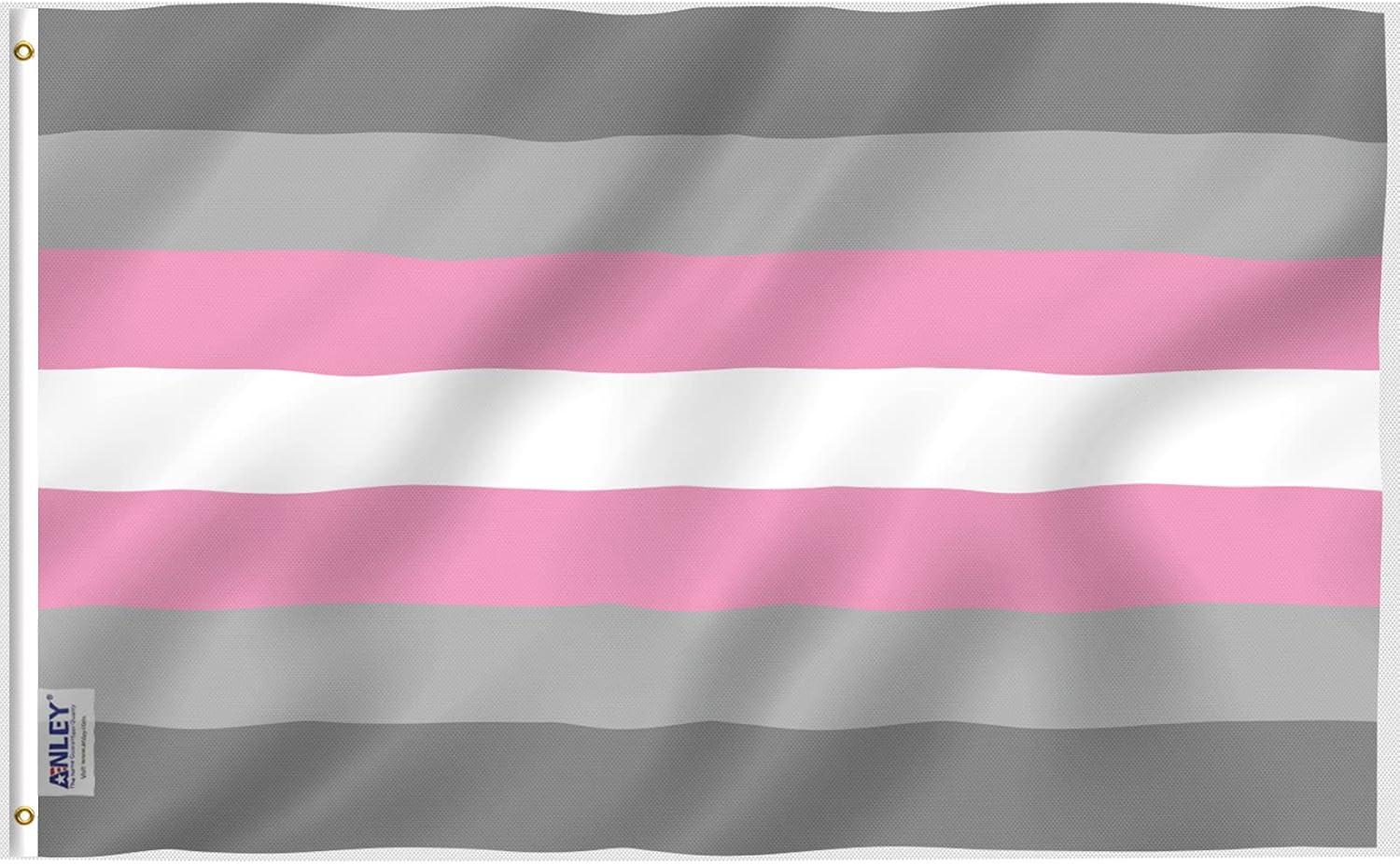 Lightweight Demigirl Pride Flag with Brass Grommets