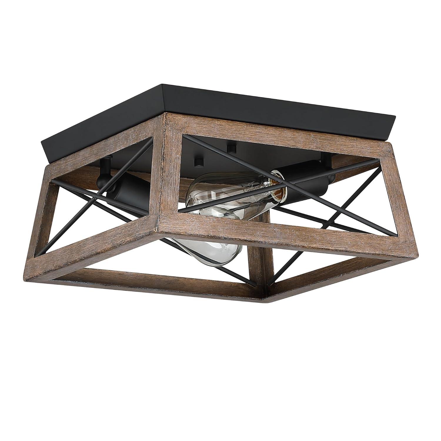 2-Light Finished Cage Classic Modern Dimmable Flush Mount Light