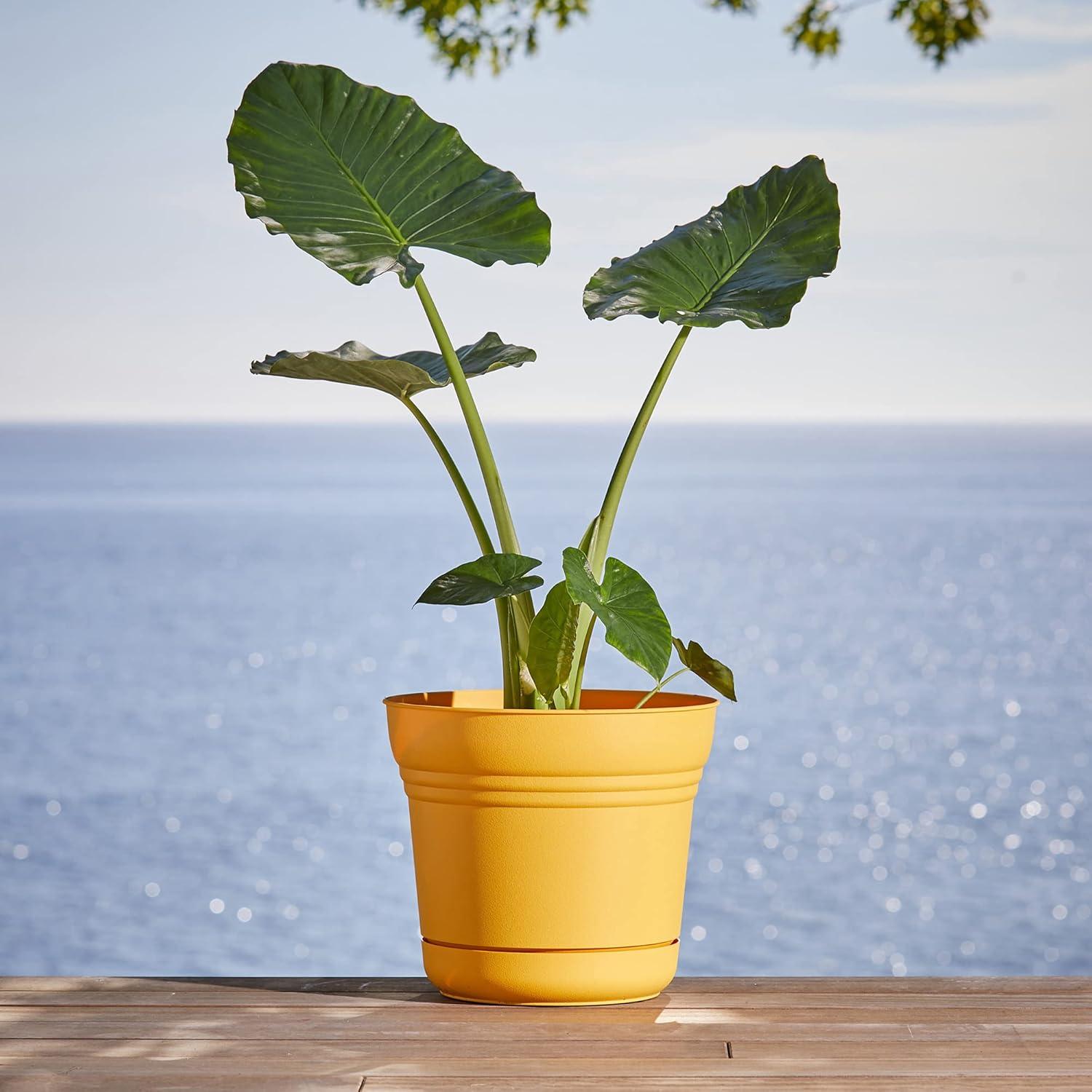 Bloem Saturn Planter with Saucer