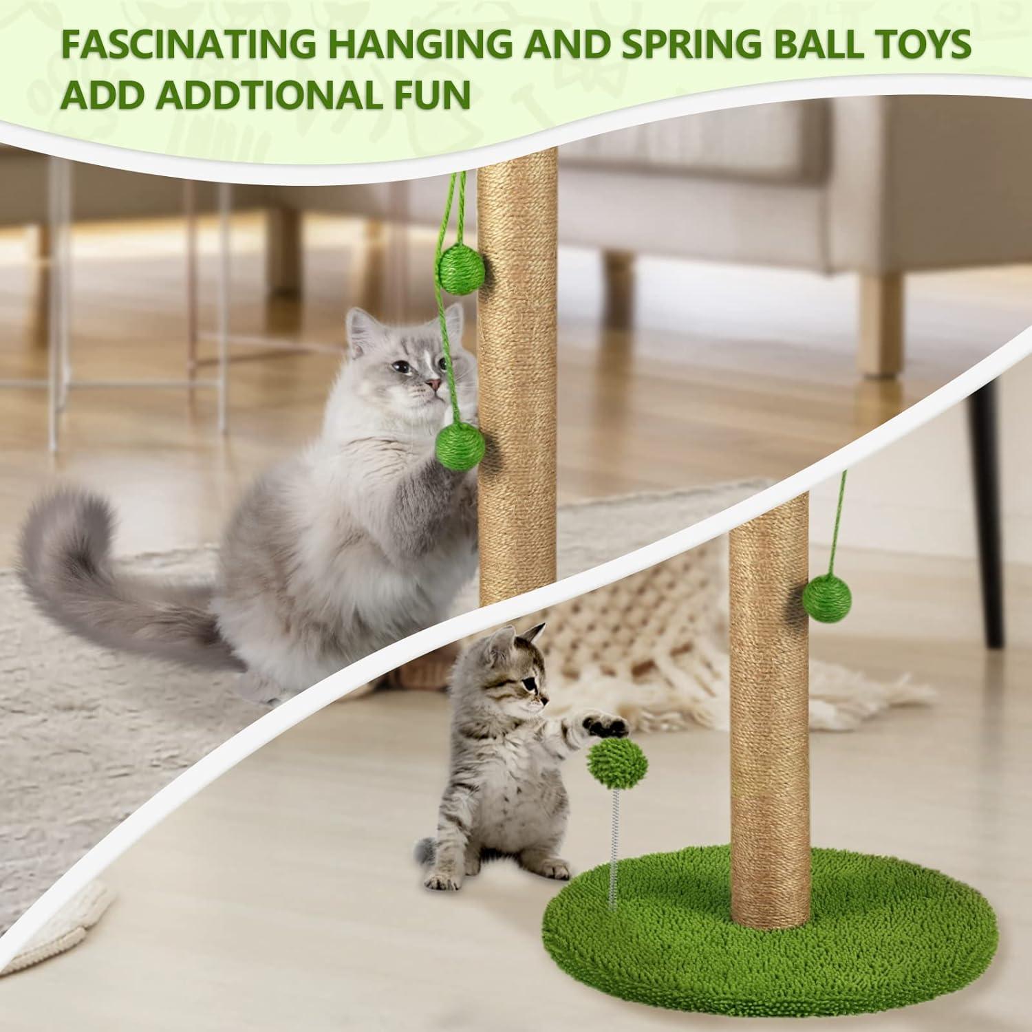 Dohump Cat Scratching Post, 26" Kitten Scratching Post with Premium Sisal Rope, Cute Cat Tree with Dangling and Spring Ball Toys for Indoor Small Cats