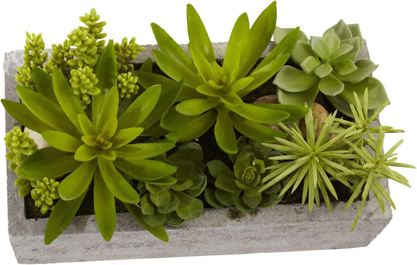 Nearly Natural Succulent Garden with Concrete Planter