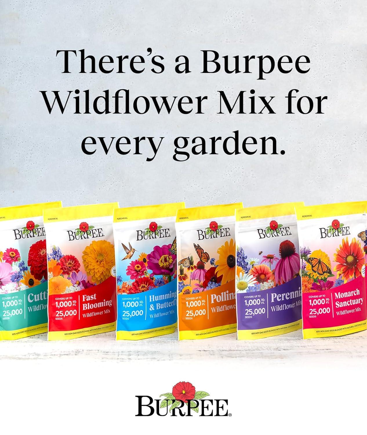 Burpee Perennial Wildflower Seeds Mix – Non-GMO, Attracts Pollinators, Perennial Flowers, 50,000 Seeds, 1 Bag
