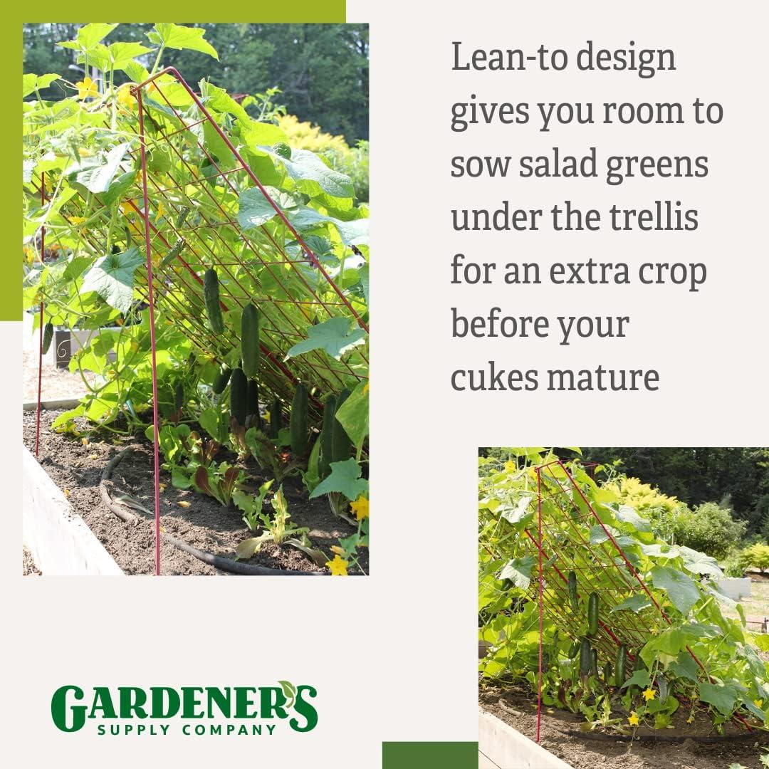 Gardener's Supply Company Cucumber Trellis | Garden Bed Support for Cucumbers & Climbing Plants | Outdoor Plant Support w/ 4" Grids for Easy Harvesting | 32" x 48" - Medium (Red)