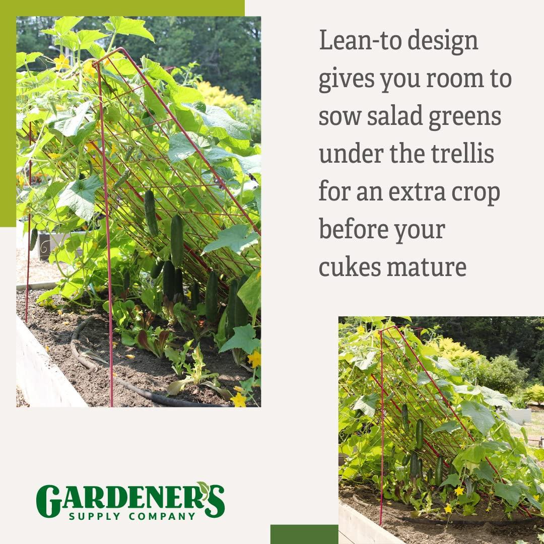 Gardener's Supply Company Enrejado de Pepino