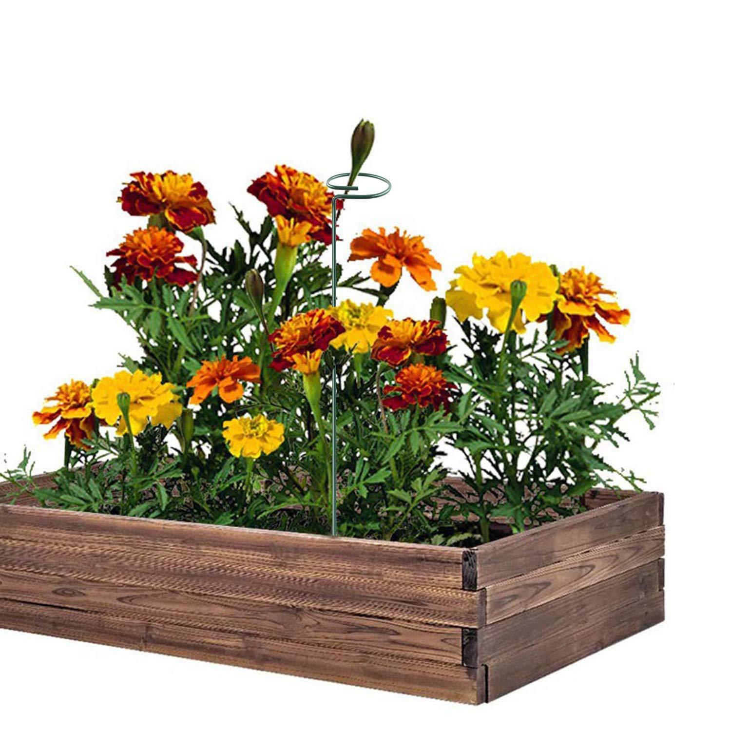 Plant Stake - 6 Pack, Garden Single Stem Stake Plant Cage Rings, Single Stem Plant Stakes, Plant Twist Ties, for Flowers Amaryllis Tomatoes Peony Lily Rose (15.9 inch) C49