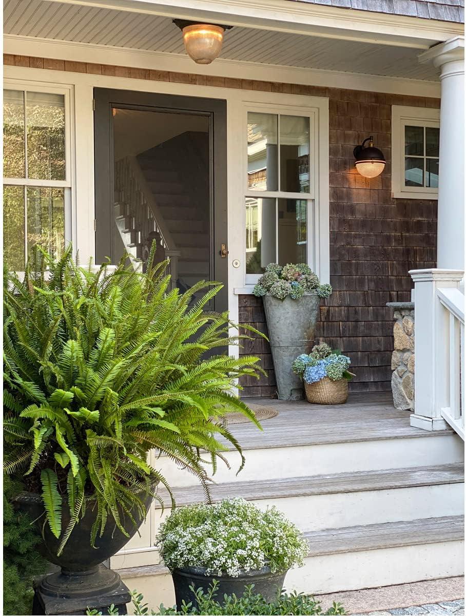 Portside Nautical Dimmable Lantern in Oil Rubbed Bronze & Antique Brass