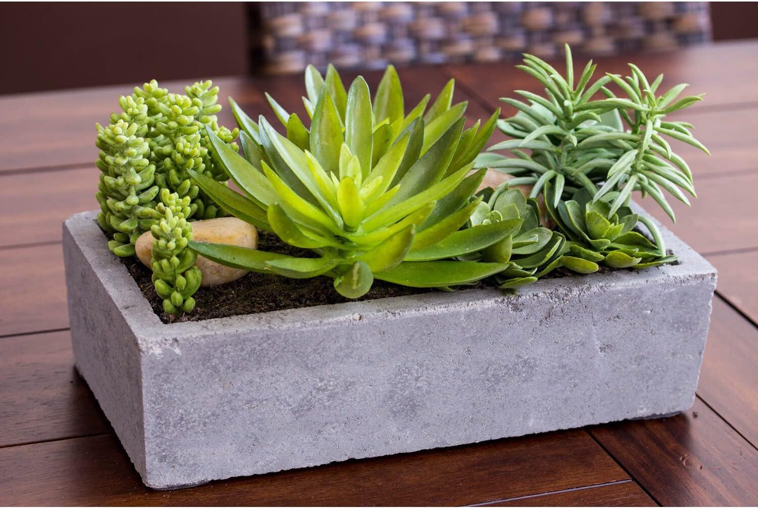 Nearly Natural Succulent Garden with Concrete Planter