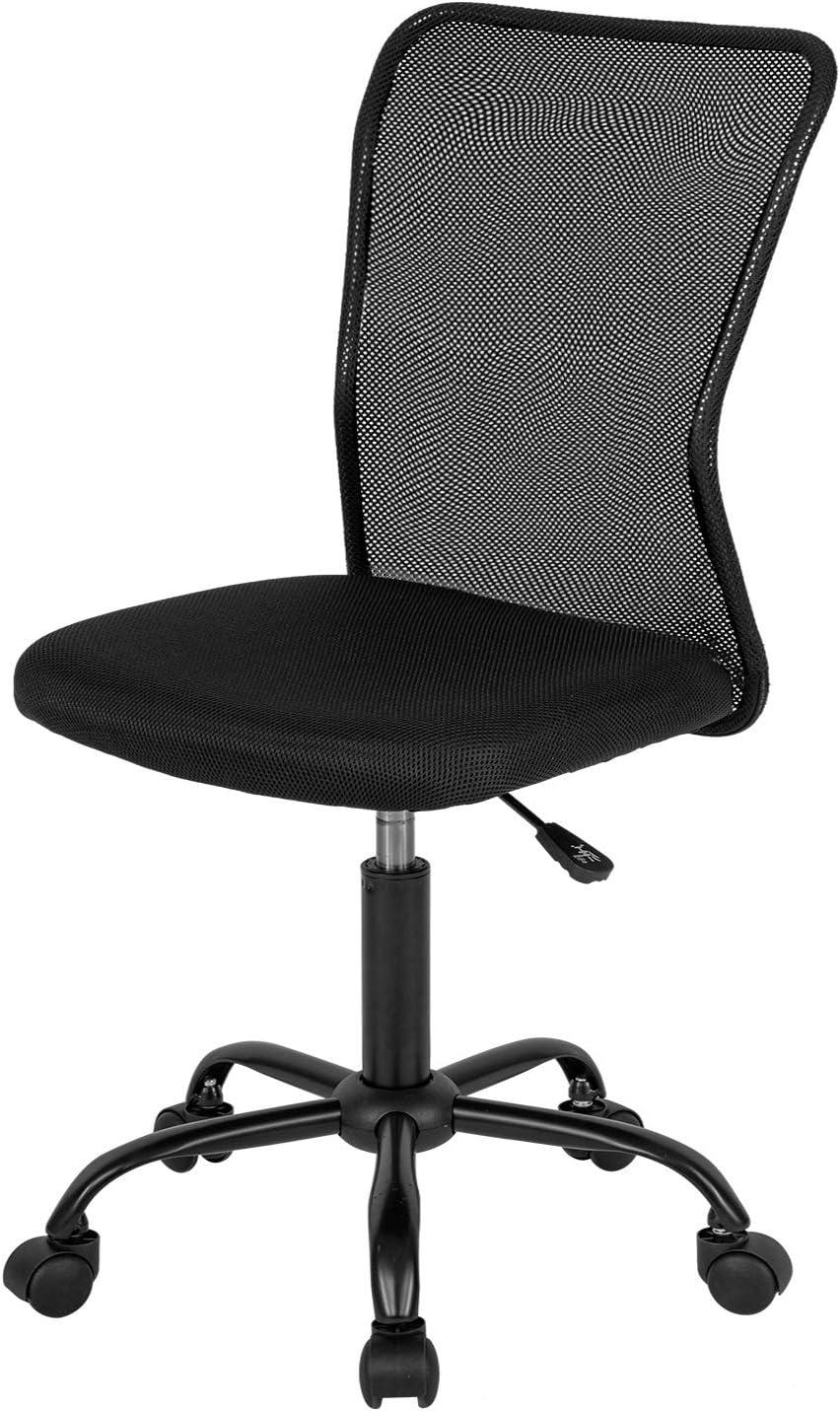 FDW Home Office Chair Mid Back Mesh Desk Chair Armless Computer Chair Rolling Swivel Chair with Lumbar Support,Black