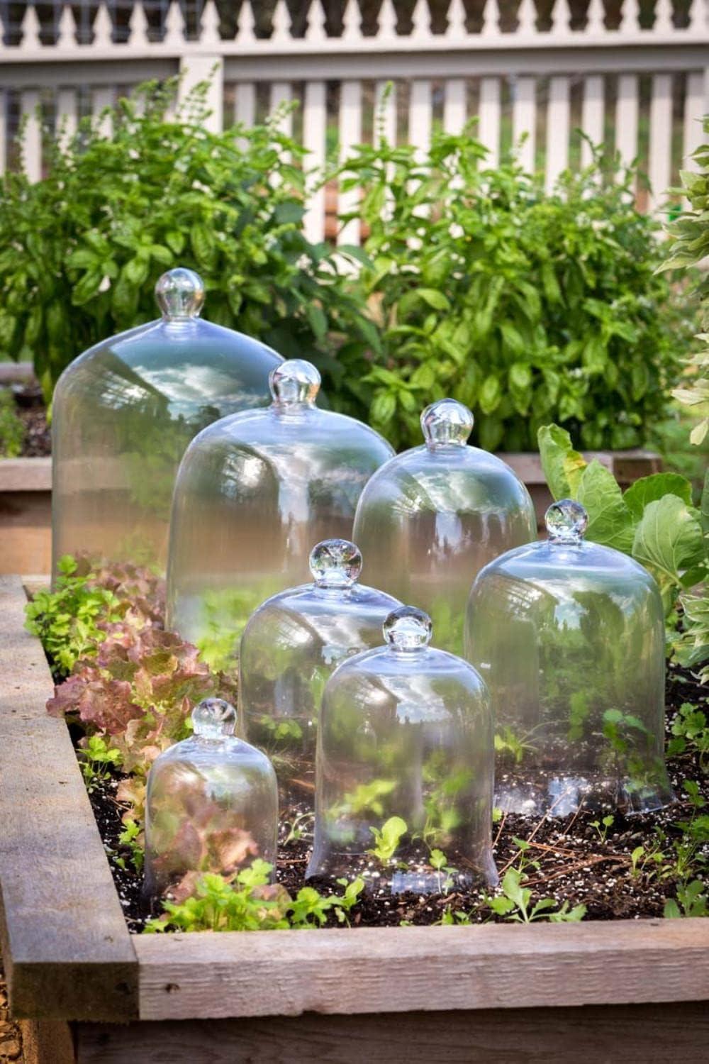 Extra-Large Clear Glass Bell Jar Display