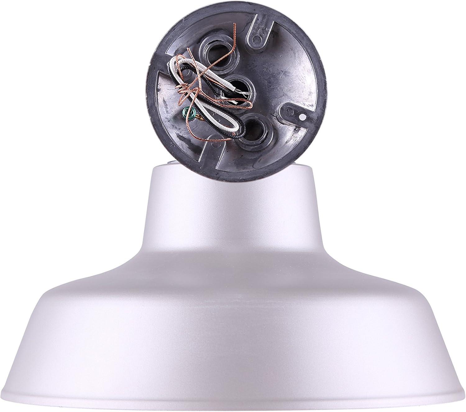 Canarm BL14CWS All Weather 1-Bulb Ceiling or Wall Mount All Weather Light with Clear Glass Globe, Grey Medium