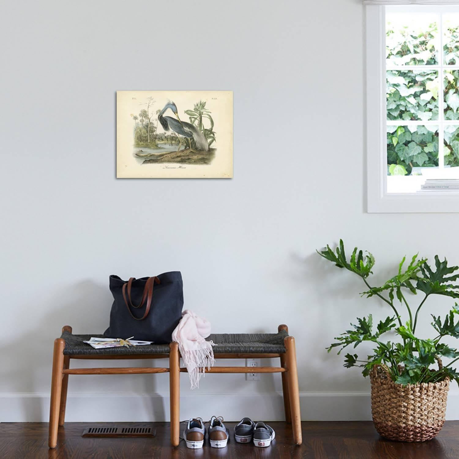Art.com Louisiana Heron Art Print by John James Audubon, 24" x 18"