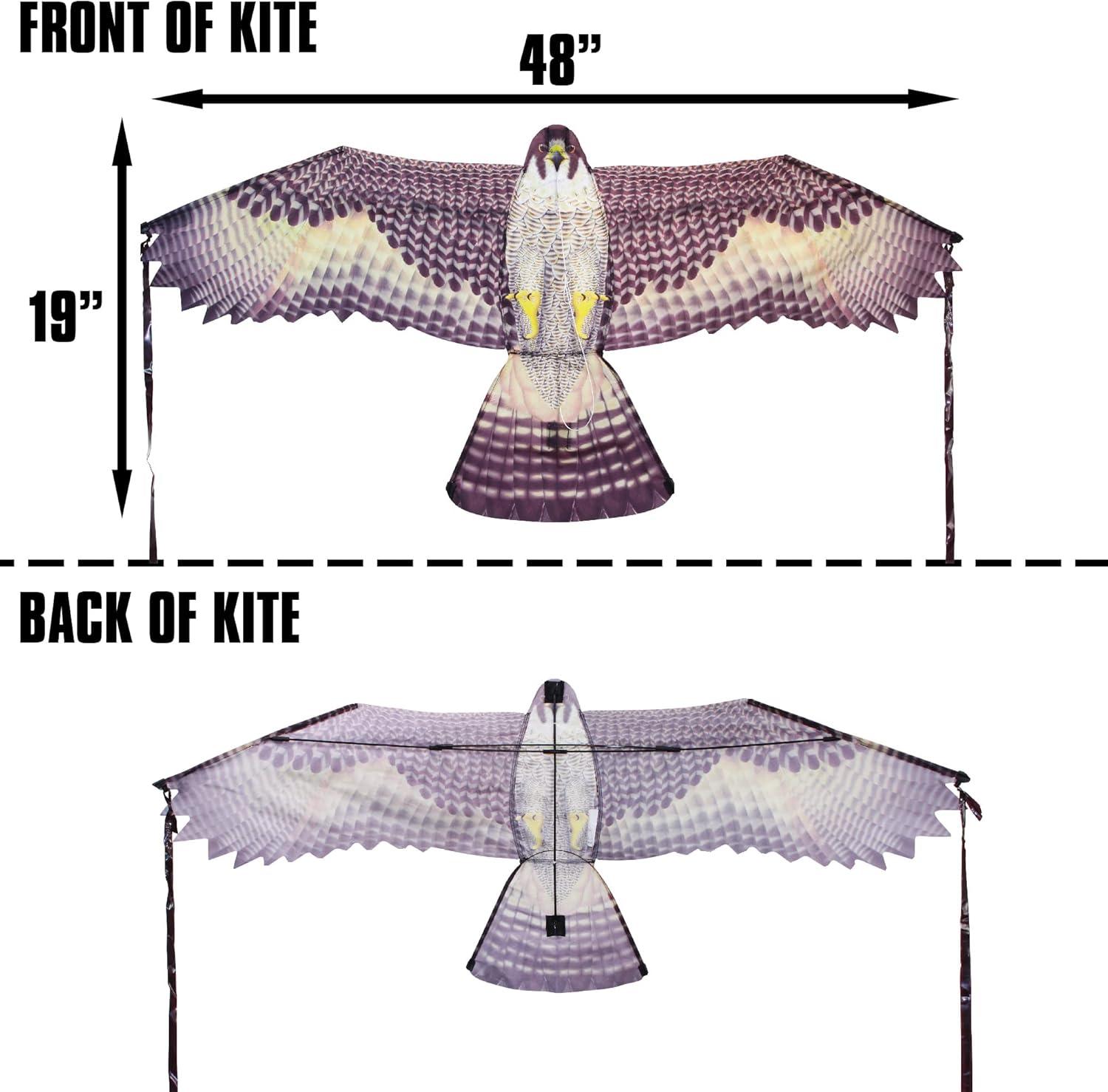 Brain Storm X Kites Birds of Prey Kite 48 Falcon