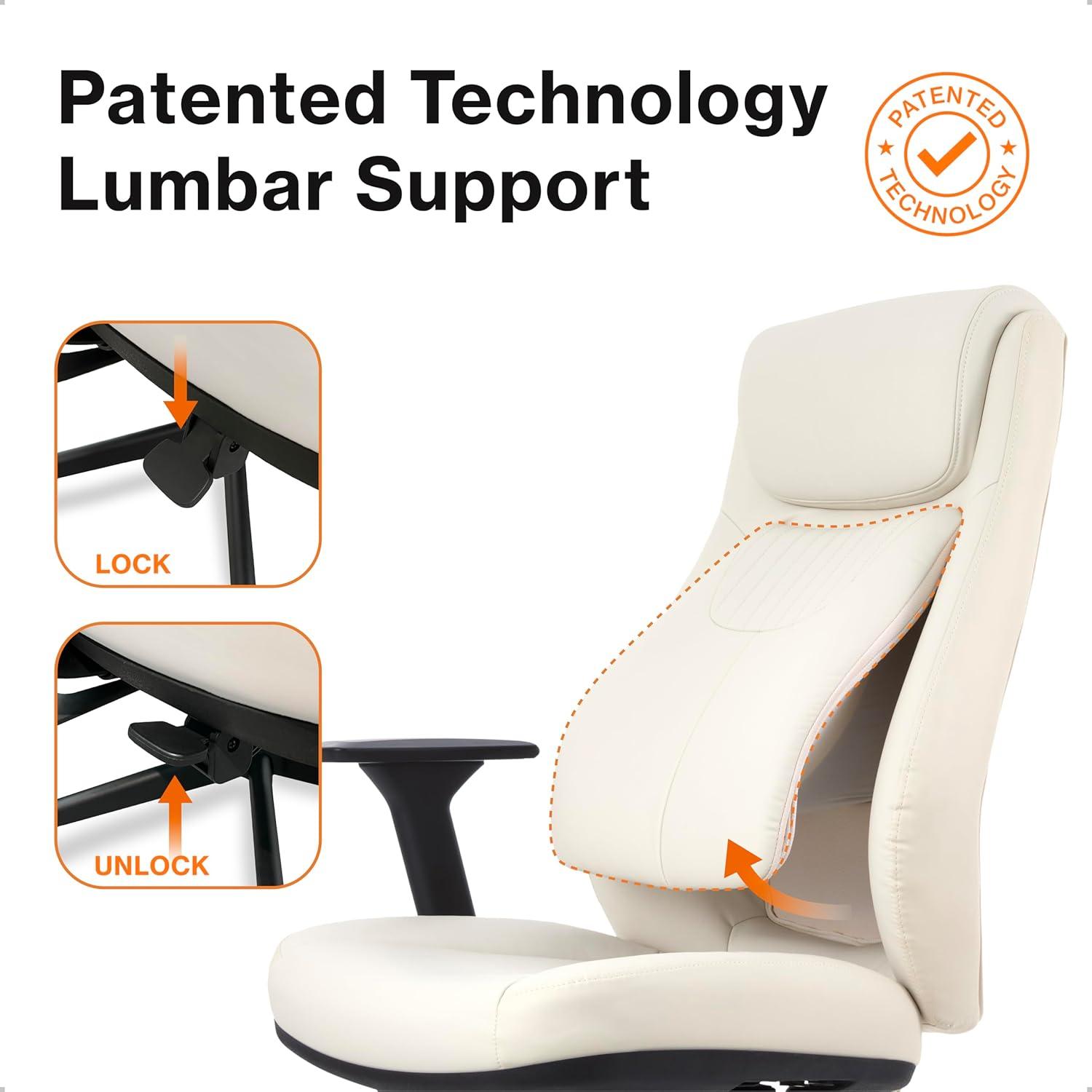Wellnewlife Wellnew Posturelift Ergonomic Office Chair