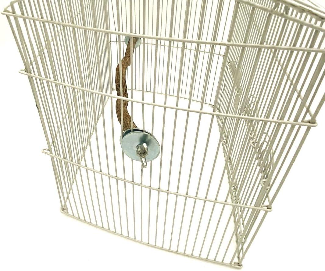 Polly's Full Length Hardwood Bird Perch, 28-Inch