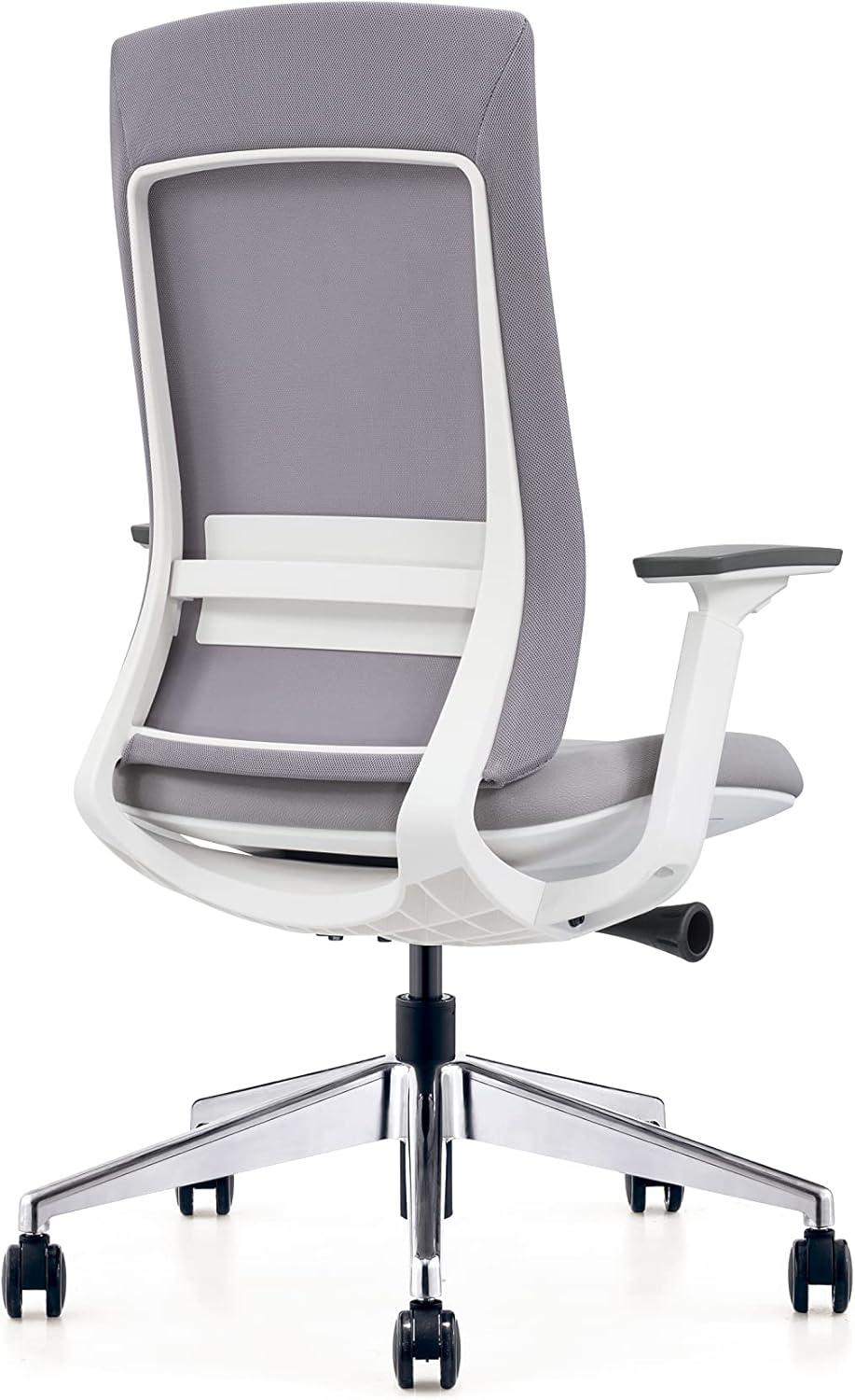 Eurotech Elevate Ergonomic Adjustable Office Chair, White Frame Gray Mesh