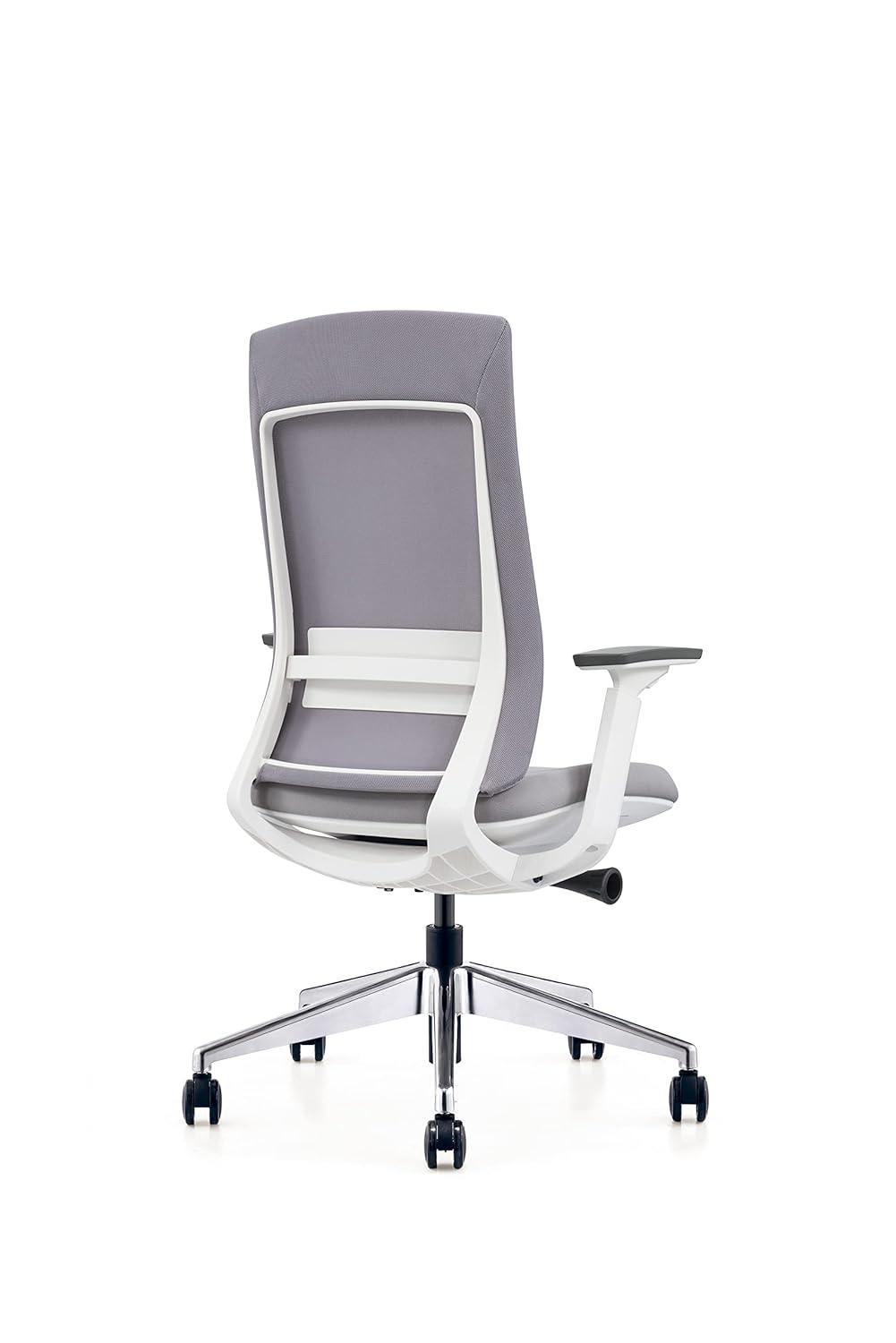 Eurotech Elevate Ergonomic Adjustable Office Chair, White Frame Gray Mesh